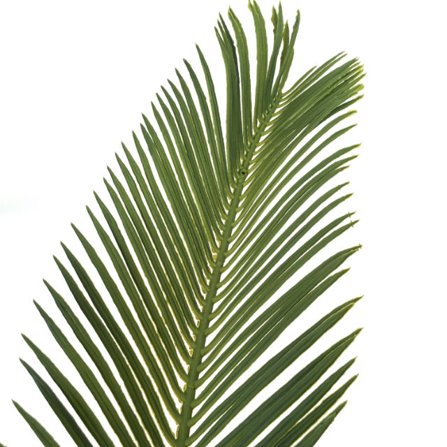Kunstig palme ananas H120cm m/potte
