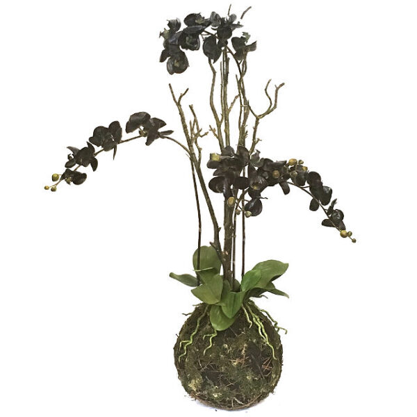 Kunstig orchide phalaenopsis sort gruppe H100cm