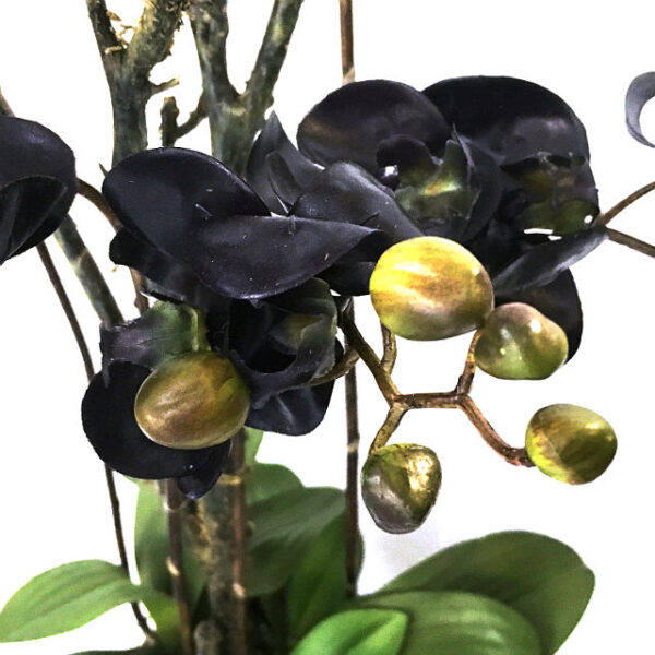 Kunstig orchide phalaenopsis sort gruppe H100cm