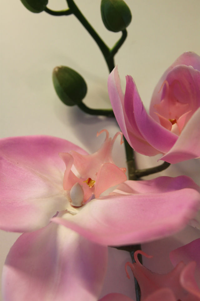 Kunstig orchide phalaenopsis gigant rosa 125cm *SALG