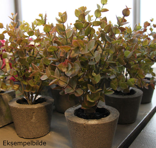 Kunstig eucalyptus plante gylden/grønn H29cm u/potte *SALG