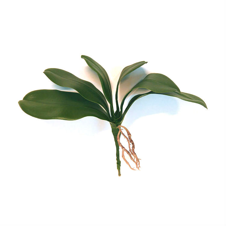 Kunstig orchide phalaenopsis blader m/røtter 30cm *SALG
