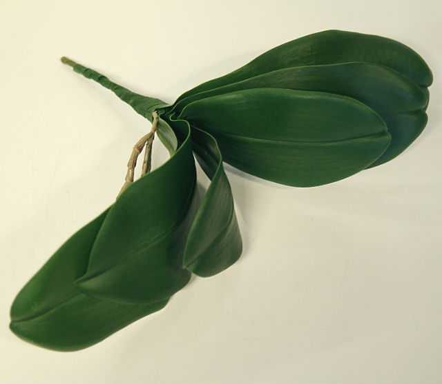 Kunstig orchide phalaenopsis blader m/røtter 30cm *SALG
