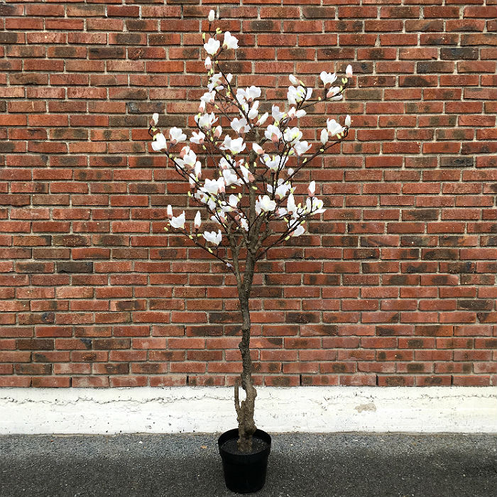 Kunstig magnoliatre hvit H210cm