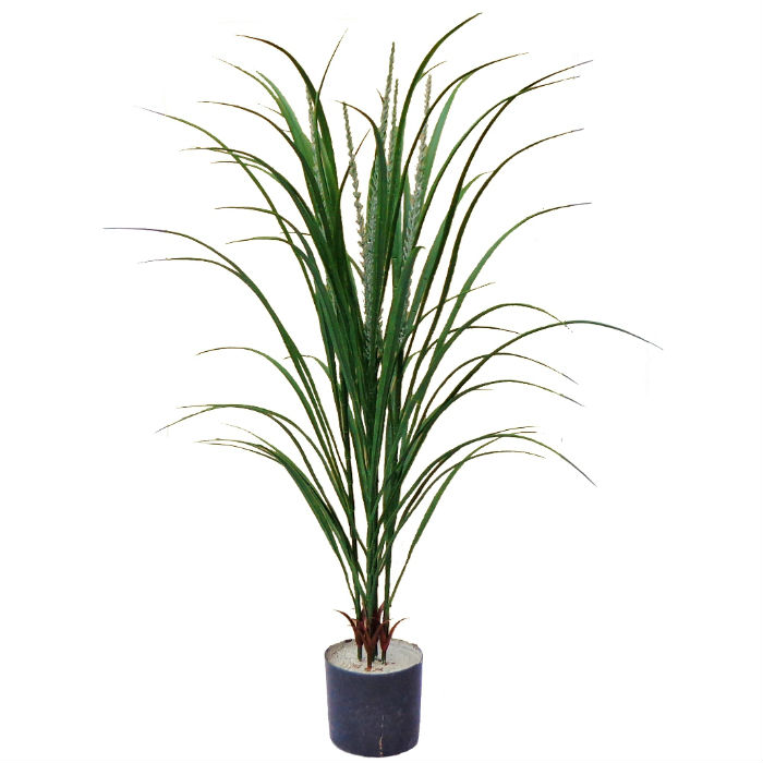 Gress plante yucca grønn UV H90cm