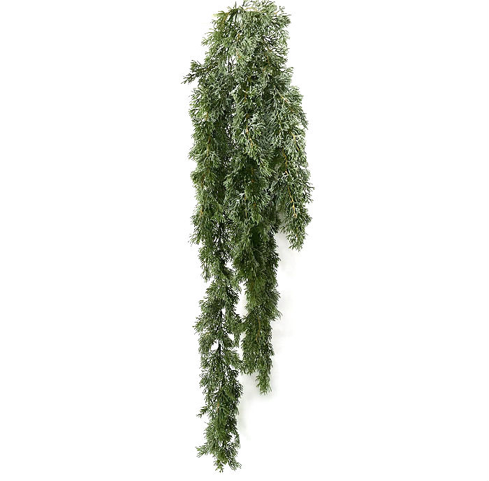 Cypress icy hengeplante 100cm u/potte