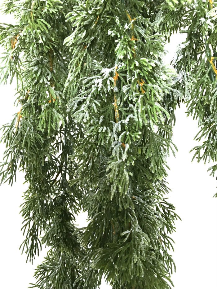 Cypress icy hengeplante 100cm u/potte