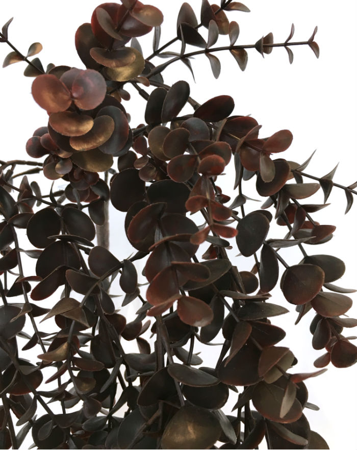 Eucalyptus hengeplante burgunder 80cm u/potte