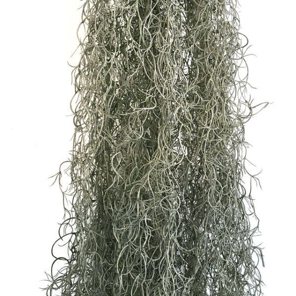 Kunstig girlander tillandsia gigant støvgrønn L250cm