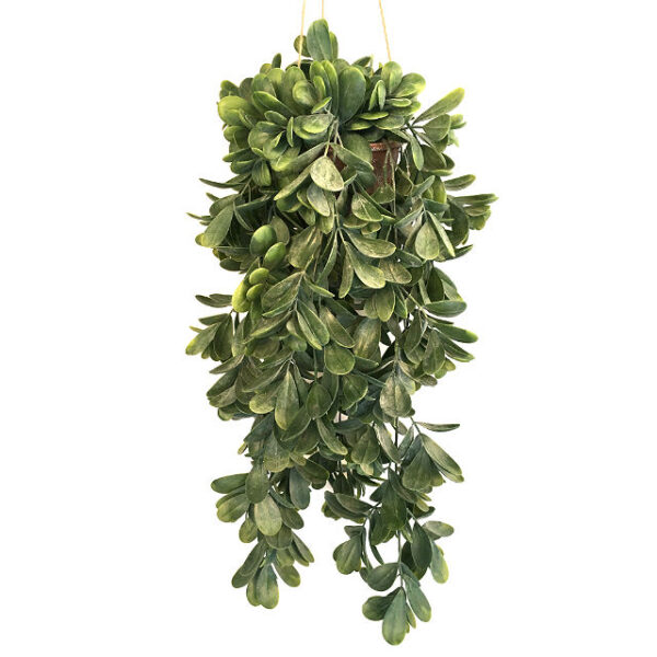 Succulent hengeplante støvgrønn L58cm m/ampel
