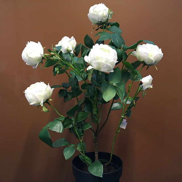 Kunstig rose hageplante hvit H86cm