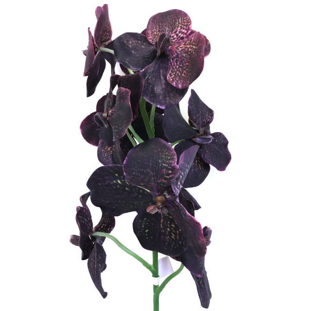 Kunstig orchide vanda aubergine 106cm