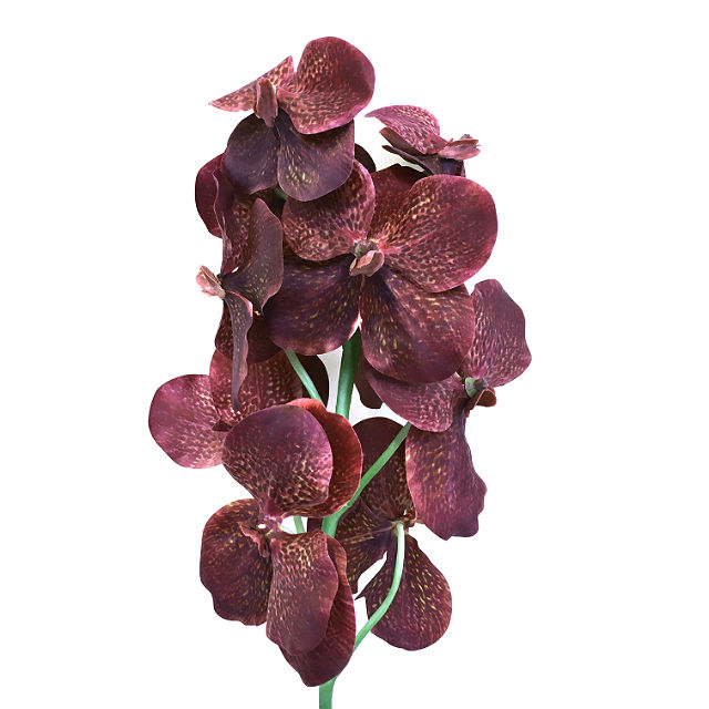 Kunstig orchide vanda purpur 106cm