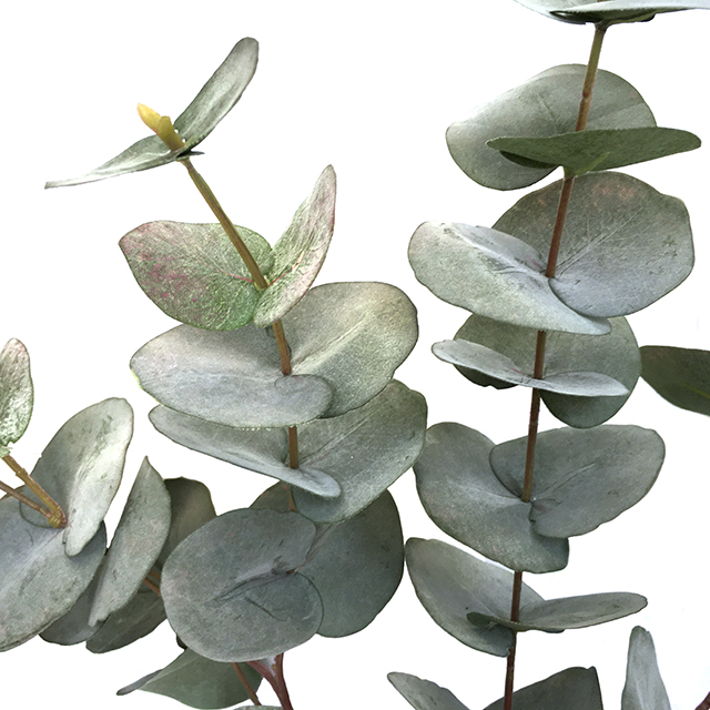 Kunstig eucalyptus gren støvgrønn 100cm