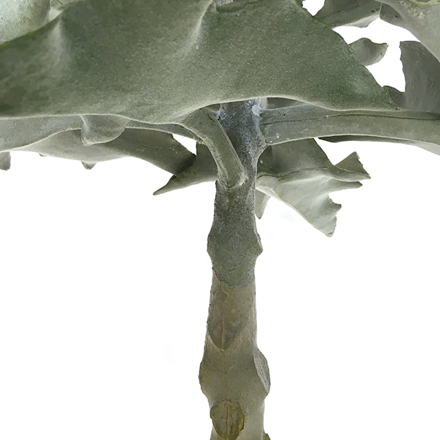Kunstig alocasia plante på stamme støvet H90cm