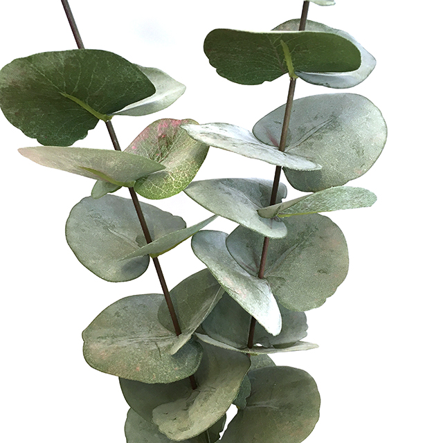 Kunstig eucalyptus gren togrenet støvgrønn L120cm