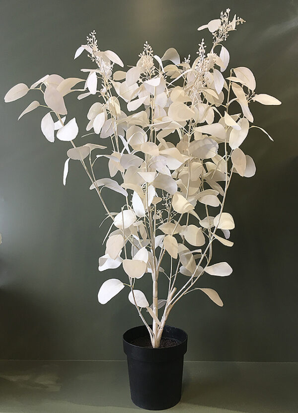 Kunstig eucalyptus busk krem m/bær hvit H130cm