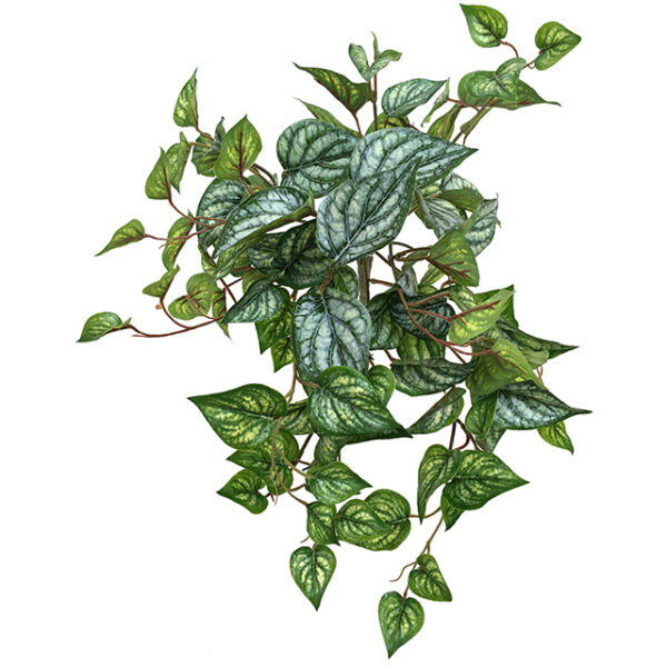 Kunstig hoya plante kremgrønn UTE L53cm u/potte